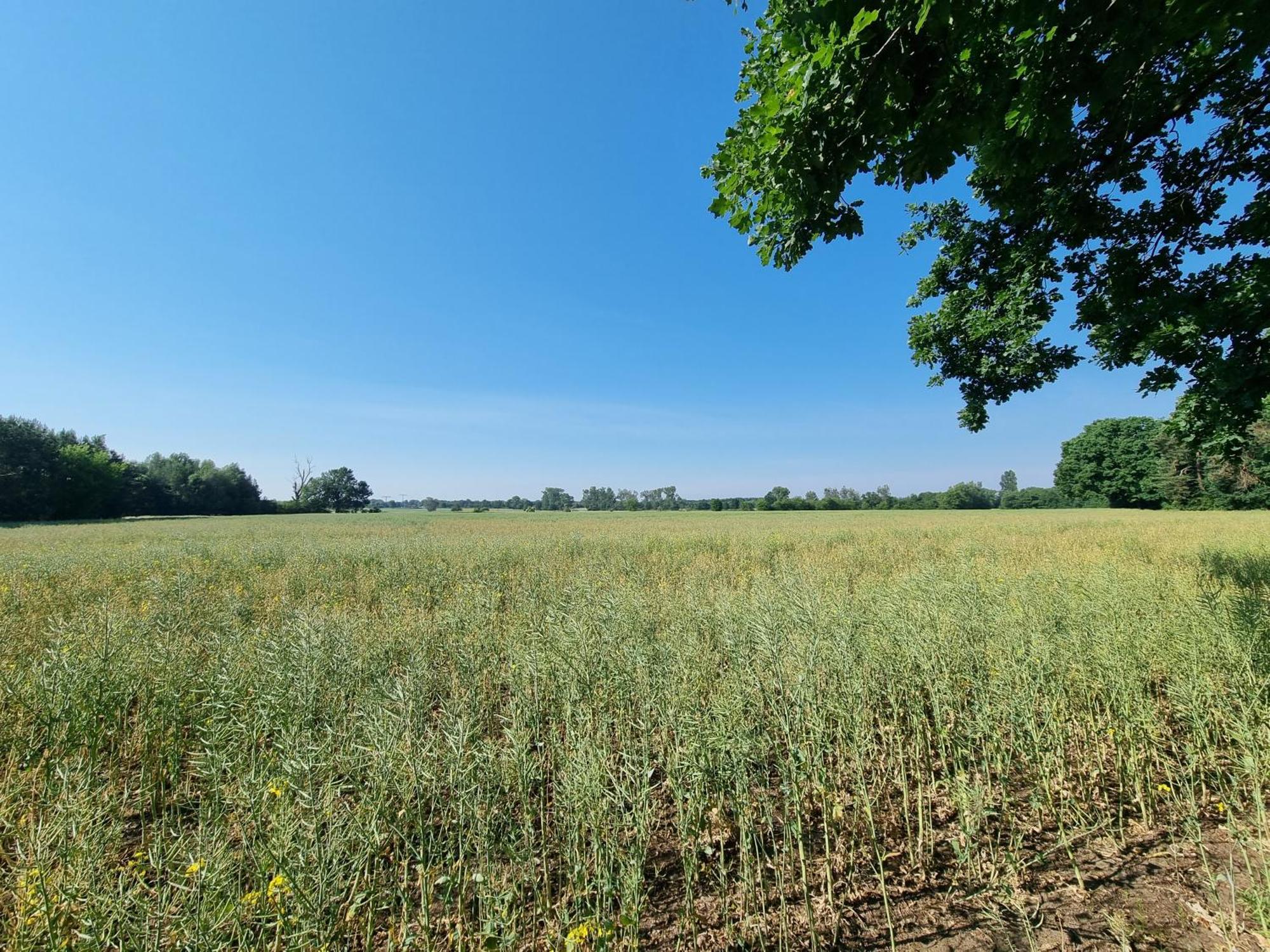 Ferienwohnung Stroebitzer Wiesen Cottbus Luaran gambar